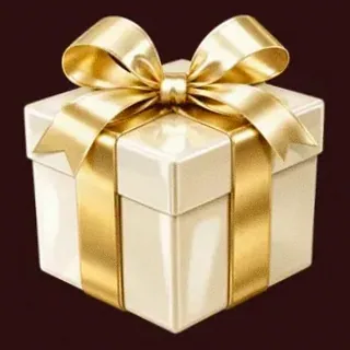 Wrapped gift box — WSM Casino