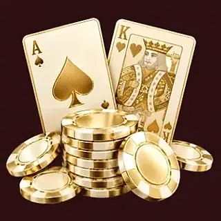 Poker playing cards — WSM Casino